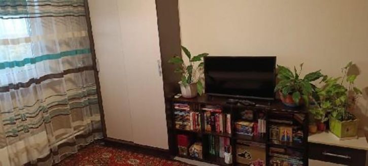 1-комн квартира Баныкина, 58