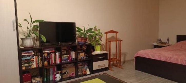 1-комн квартира Баныкина, 58