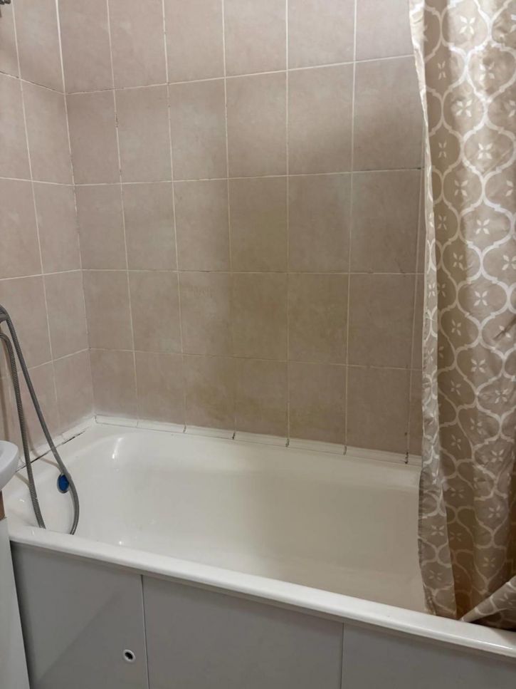 1-комн квартира Александра Кудашева улица, 106