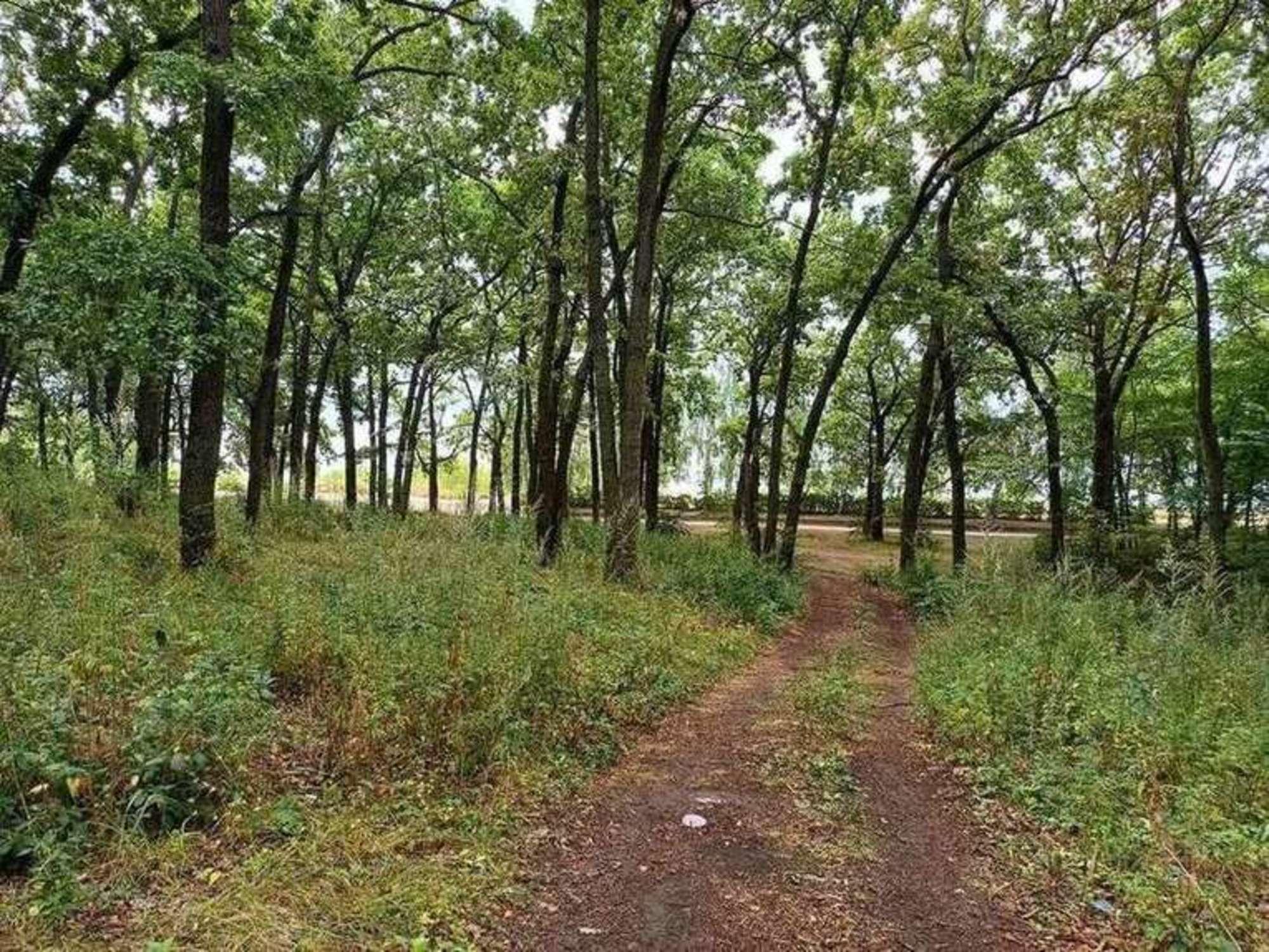 Купить землю, земельный участок за 7 225 000 рублей на Лесопарковое шоссе