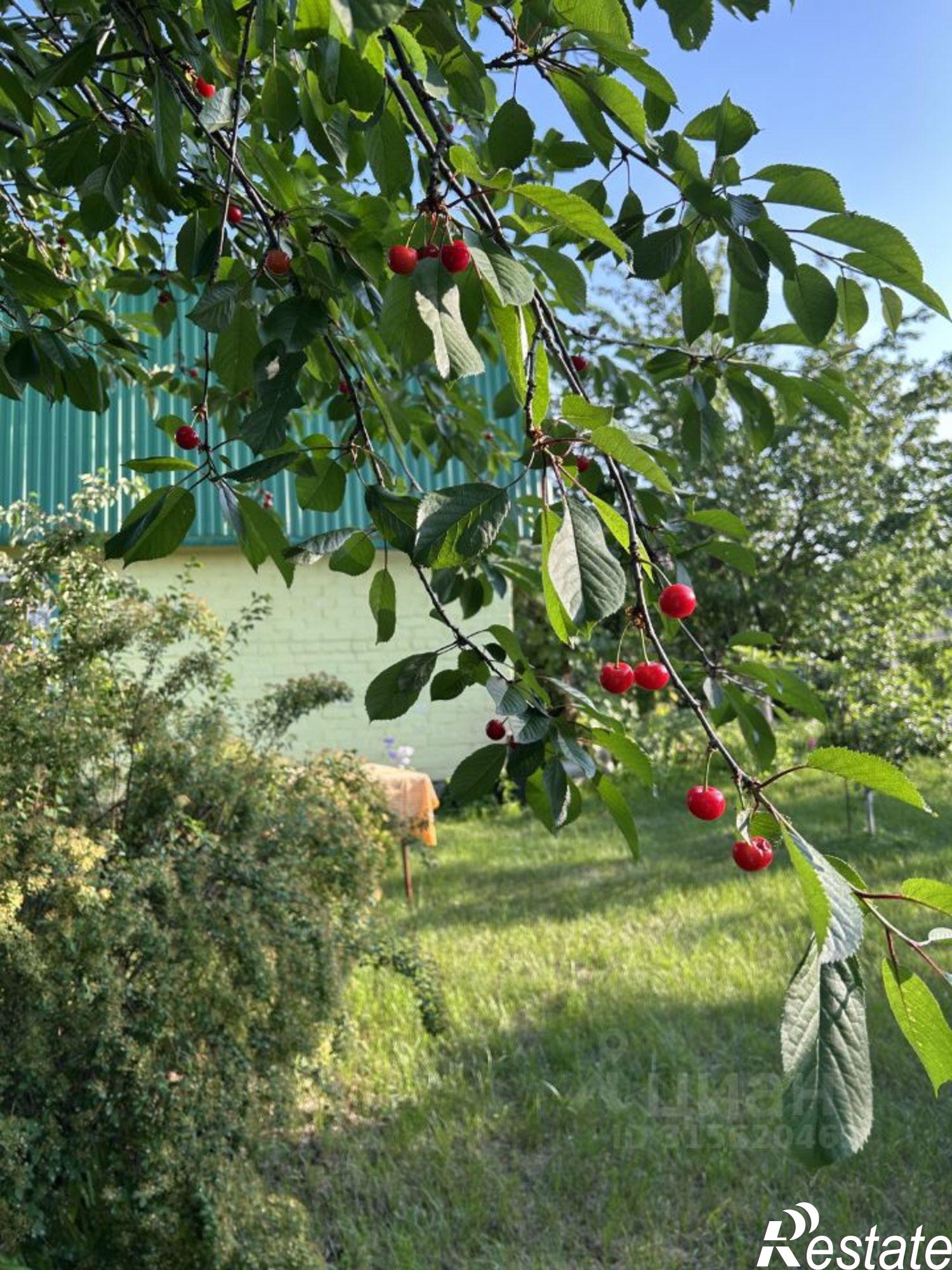 Купить дачу, дом, коттедж за 1 800 000 рублей на СТ Островок, 236