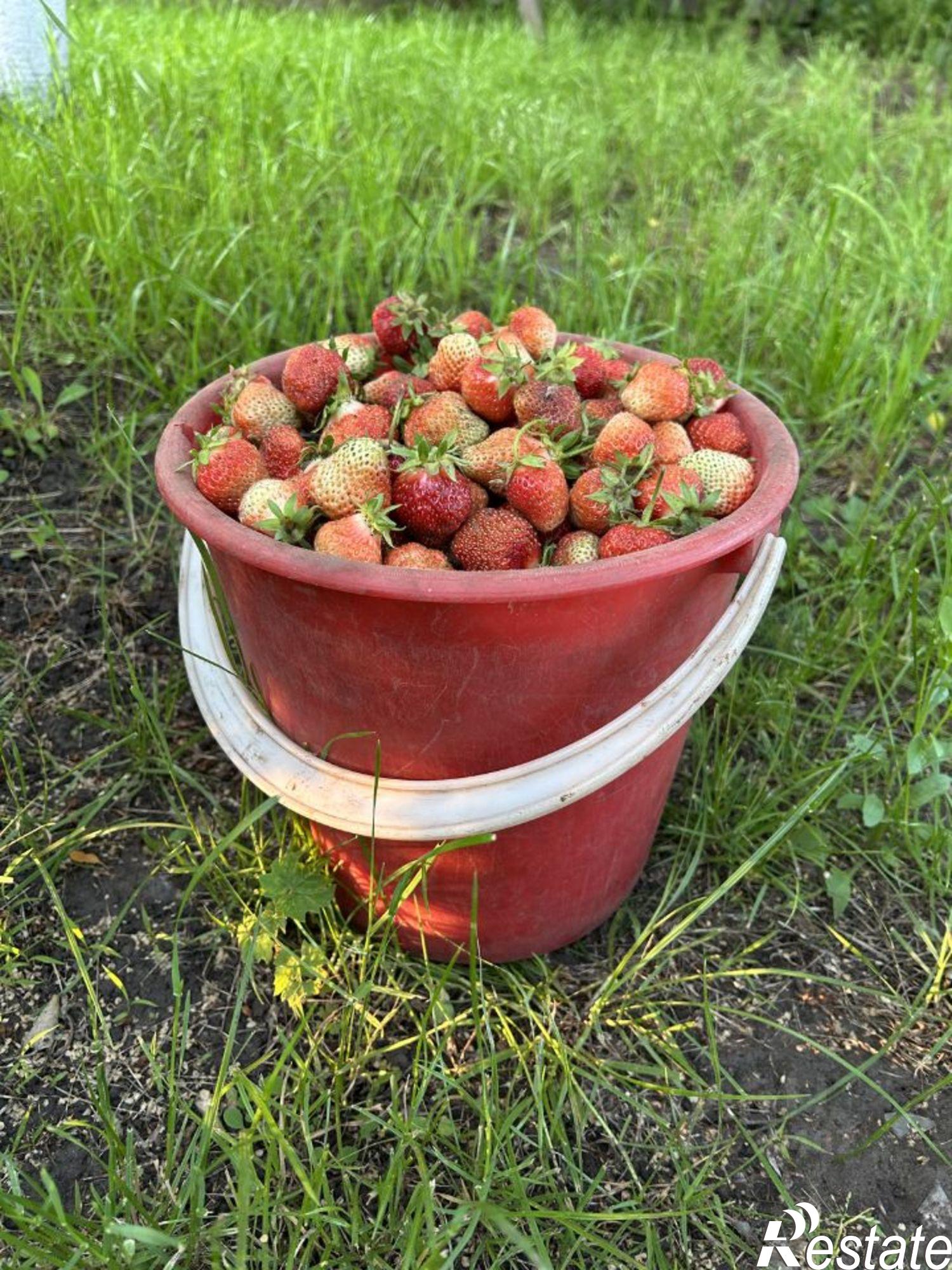 Купить дачу, дом, коттедж за 1 800 000 рублей на СТ Островок, 236