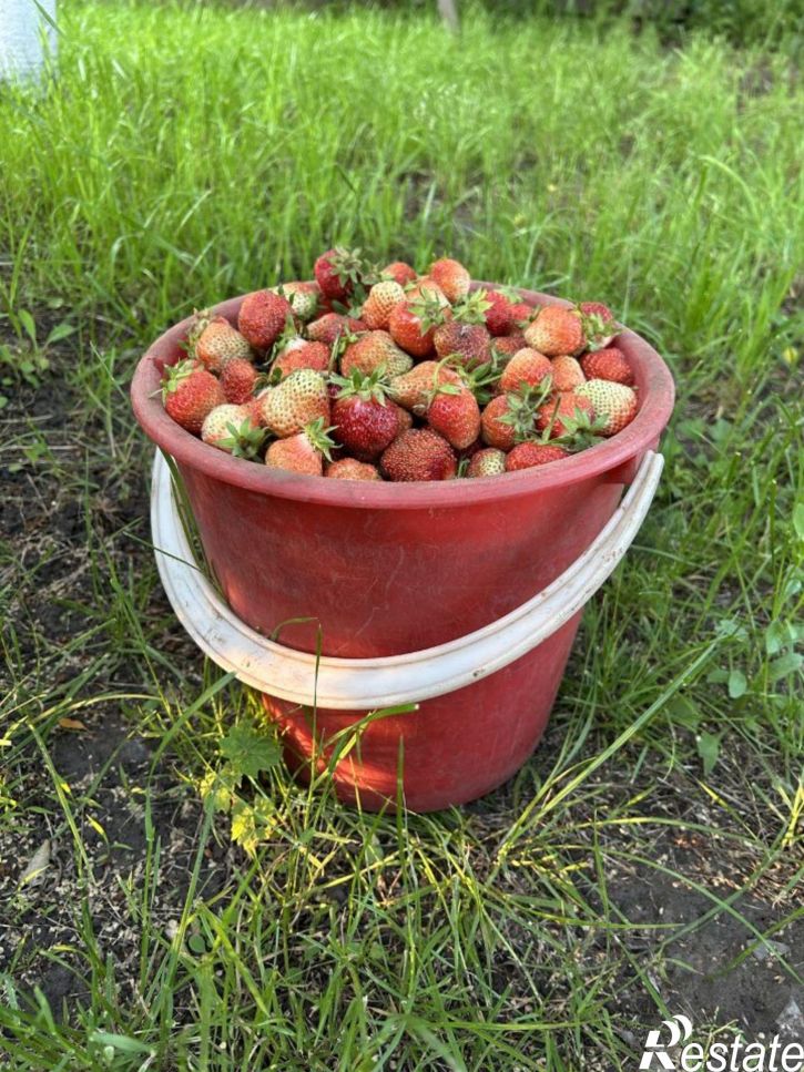 Коттедж/дом СТ Островок, 236