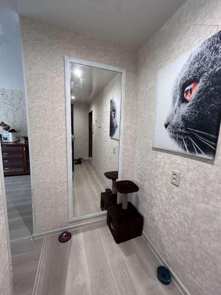 1-комн квартира Мира улица, 84
