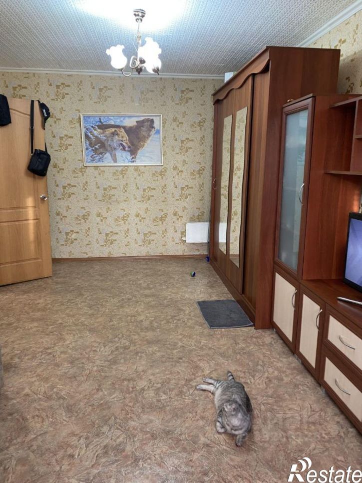1-комн квартира ул Толстого, 21,  д. 21