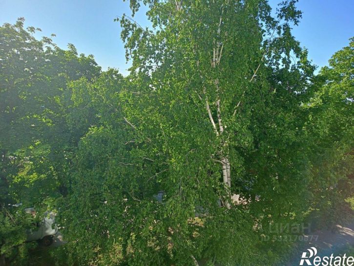 1-комн квартира Московский пр-кт, 11,  д. 11