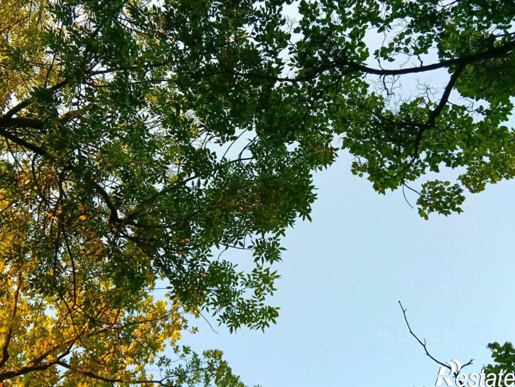 Комната ул Мира, 50,  д. 50
